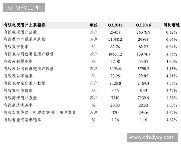 成都排球队技术分析与战术创新的深度探讨与展望